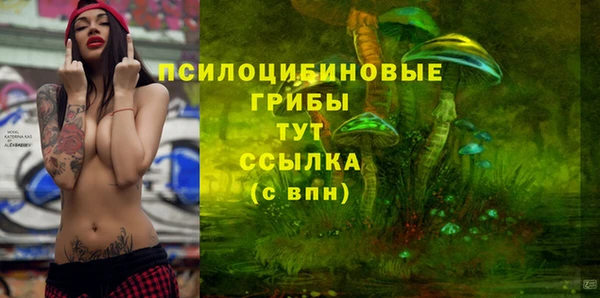 первитин Арсеньев