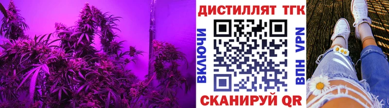 ТГК Wax Купить где Нефтекумск